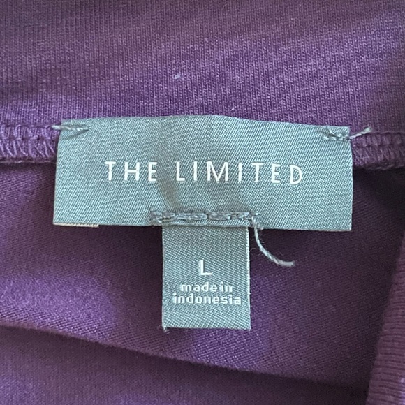 Eggplant mock turtle swing dress from The Limited (Large) - Picture 3 of 5
